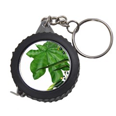 Plant Berry Leaves Green Flower Measuring Tape by BangZart