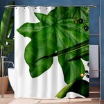 Plant Berry Leaves Green Flower Shower Curtain 60  x 72  (Medium)  60 x72  Curtain