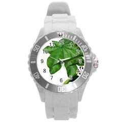 Plant Berry Leaves Green Flower Round Plastic Sport Watch (l) by BangZart