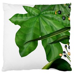 Plant Berry Leaves Green Flower Large Cushion Case (two Sides) by BangZart