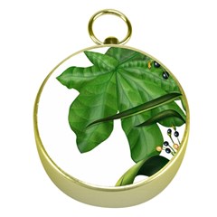 Plant Berry Leaves Green Flower Gold Compasses by BangZart