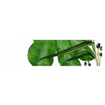 Plant Berry Leaves Green Flower Satin Scarf (Oblong) Front