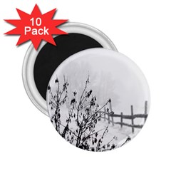 Snow Winter Cold Landscape Fence 2 25  Magnets (10 Pack)  by BangZart