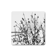 Snow Winter Cold Landscape Fence Square Magnet by BangZart