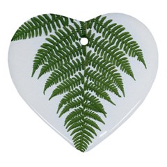 Boating Nature Green Autumn Heart Ornament (two Sides) by BangZart