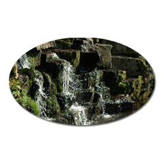 Water Waterfall Nature Splash Flow Oval Magnet by BangZart