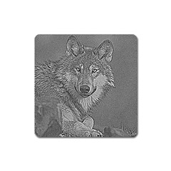 Wolf Forest Animals Square Magnet by BangZart