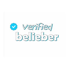 Verified Belieber Double Sided Flano Blanket (mini)  by Valentinaart