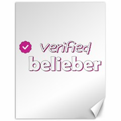 Verified Belieber Canvas 12  X 16   by Valentinaart