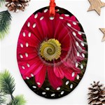 Fantasy Flower Fractal Blossom Ornament (Oval Filigree) Front