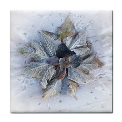 Winter Frost Ice Sheet Leaves Tile Coasters