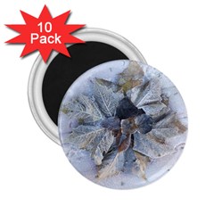 Winter Frost Ice Sheet Leaves 2 25  Magnets (10 Pack) 