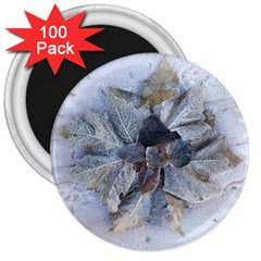 Winter Frost Ice Sheet Leaves 3  Magnets (100 Pack)