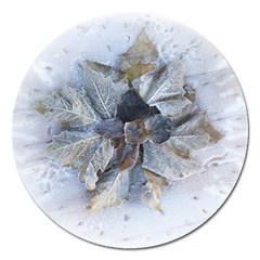 Winter Frost Ice Sheet Leaves Magnet 5  (round) by BangZart