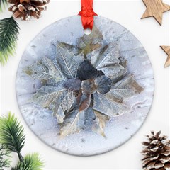 Winter Frost Ice Sheet Leaves Round Ornament (two Sides)