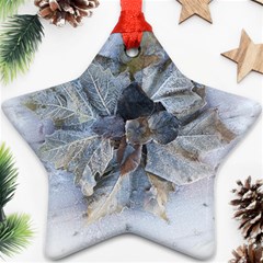 Winter Frost Ice Sheet Leaves Star Ornament (two Sides)