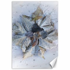 Winter Frost Ice Sheet Leaves Canvas 12  X 18  