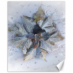 Winter Frost Ice Sheet Leaves Canvas 16  X 20  