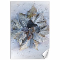 Winter Frost Ice Sheet Leaves Canvas 24  X 36 