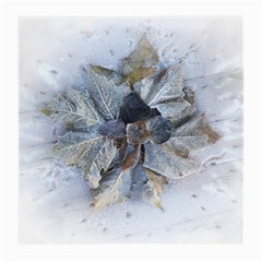 Winter Frost Ice Sheet Leaves Medium Glasses Cloth (2-side) by BangZart