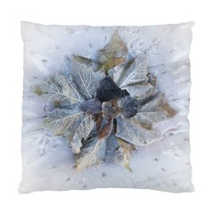 Winter Frost Ice Sheet Leaves Standard Cushion Case (two Sides)