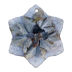 Winter Frost Ice Sheet Leaves Snowflake Ornament (two Sides)