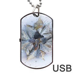 Winter Frost Ice Sheet Leaves Dog Tag Usb Flash (two Sides)