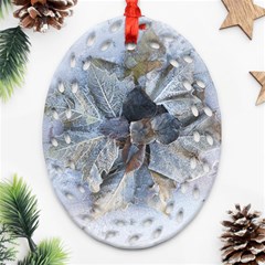 Winter Frost Ice Sheet Leaves Ornament (oval Filigree)