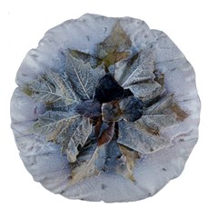 Winter Frost Ice Sheet Leaves Large 18  Premium Round Cushions