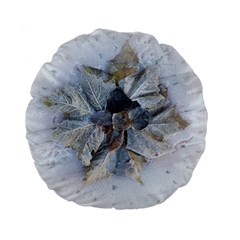 Winter Frost Ice Sheet Leaves Standard 15  Premium Flano Round Cushions