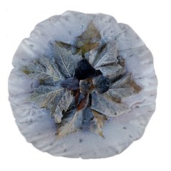 Winter Frost Ice Sheet Leaves Large 18  Premium Flano Round Cushions