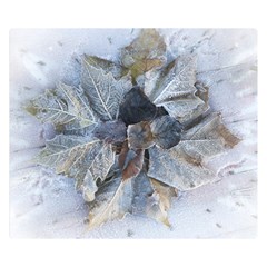 Winter Frost Ice Sheet Leaves Double Sided Flano Blanket (small) 