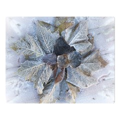 Winter Frost Ice Sheet Leaves Double Sided Flano Blanket (large) 