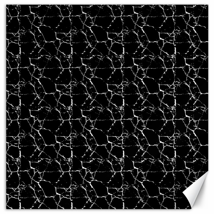 Black And White Textured Pattern Canvas 12  x 12  