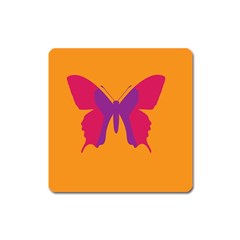 Butterfly Wings Insect Nature Square Magnet by Celenk