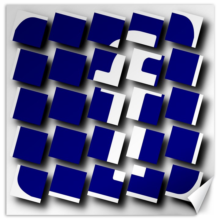 Facebook Social Media Network Blue Canvas 20  x 20  