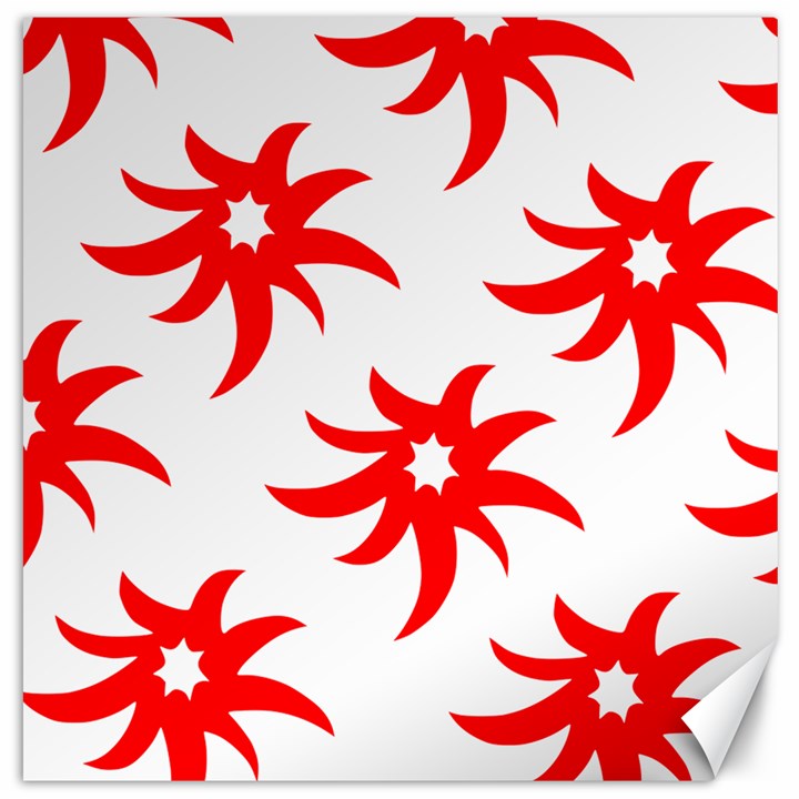 Star Figure Form Pattern Structure Canvas 12  x 12  