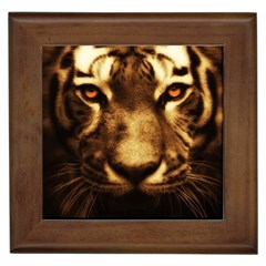 Cat Tiger Animal Wildlife Wild Framed Tiles by Celenk