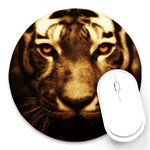 Cat Tiger Animal Wildlife Wild Round Mousepads Front