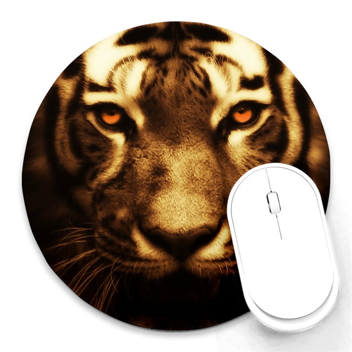 Cat Tiger Animal Wildlife Wild Round Mousepads