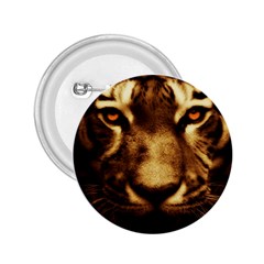 Cat Tiger Animal Wildlife Wild 2 25  Buttons by Celenk