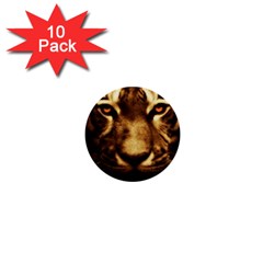 Cat Tiger Animal Wildlife Wild 1  Mini Buttons (10 Pack)  by Celenk