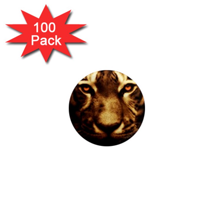 Cat Tiger Animal Wildlife Wild 1  Mini Magnets (100 pack) 