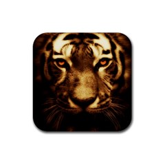 Cat Tiger Animal Wildlife Wild Rubber Coaster (square)  by Celenk