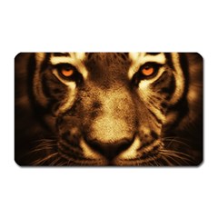 Cat Tiger Animal Wildlife Wild Magnet (rectangular) by Celenk