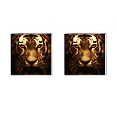 Cat Tiger Animal Wildlife Wild Cufflinks (square) by Celenk