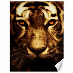 Cat Tiger Animal Wildlife Wild Canvas 36  X 48   by Celenk