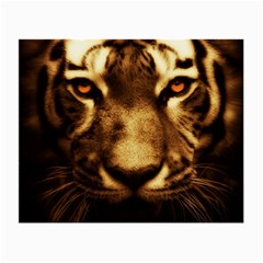 Cat Tiger Animal Wildlife Wild Small Glasses Cloth (2-side) by Celenk