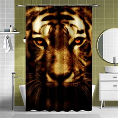 Cat Tiger Animal Wildlife Wild Shower Curtain 48  X 72  (small)  by Celenk