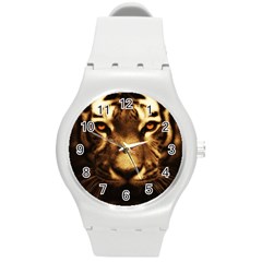 Cat Tiger Animal Wildlife Wild Round Plastic Sport Watch (m) by Celenk